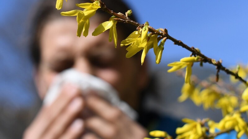 Eine juckende Nase, ein Kratzen im Hals und tränende Augen, das sind nur ein paar Symptome von Heuschnupfen. Betroffene empfinden sie als immer intensiver.