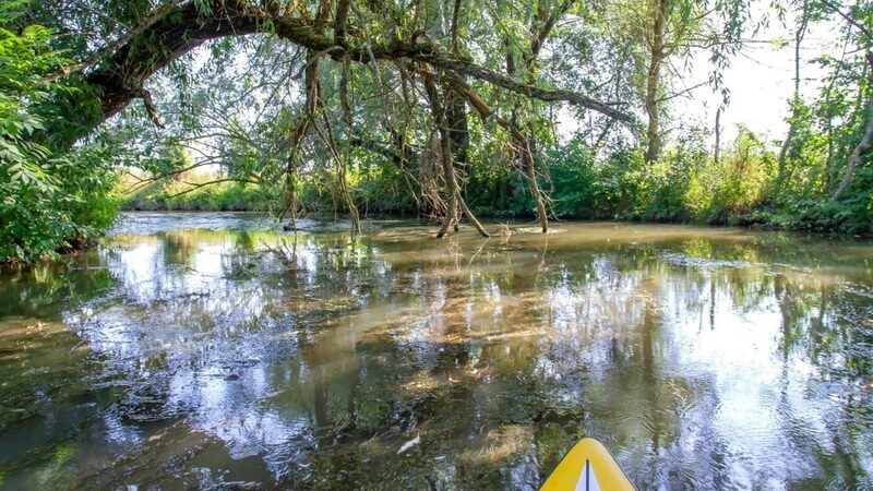 Wie in fernen Ländern wirkt der Fluss manchmal - hier bei Hirschling.