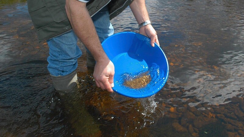 Ein Goldsucher in einem Fluss im Bayerischen Wald (Symbolbild)