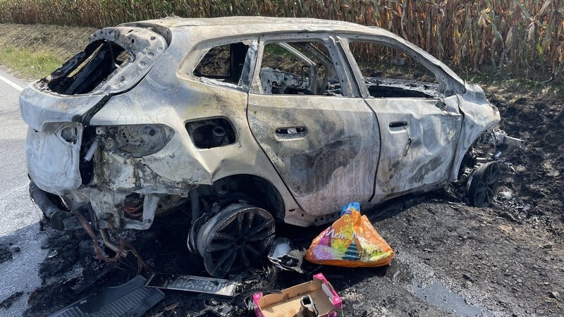 Nahe Landau ist eine junge Frau mit ihrem BMW von der Fahrbahn abgekommen. Das Auto hat sich überschlagen und ist ausgebrannt.