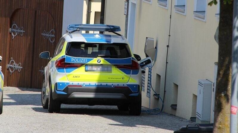 In einen Streifenwagen der Landauer Polizei fuhr der Angeklagte im Januar. Vor Gericht zeigte er sich geständig und entschuldigte sich.