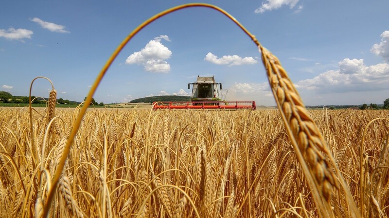 Viele Landwirte aus Oberschneiding müssen nun doch weitere Wege auf sich nehmen, um bei der Raiffeisen-Handels-GmbH ihre Waren abzuholen. Denn der Standort in der Gemeinde wird wohl nicht realisiert.