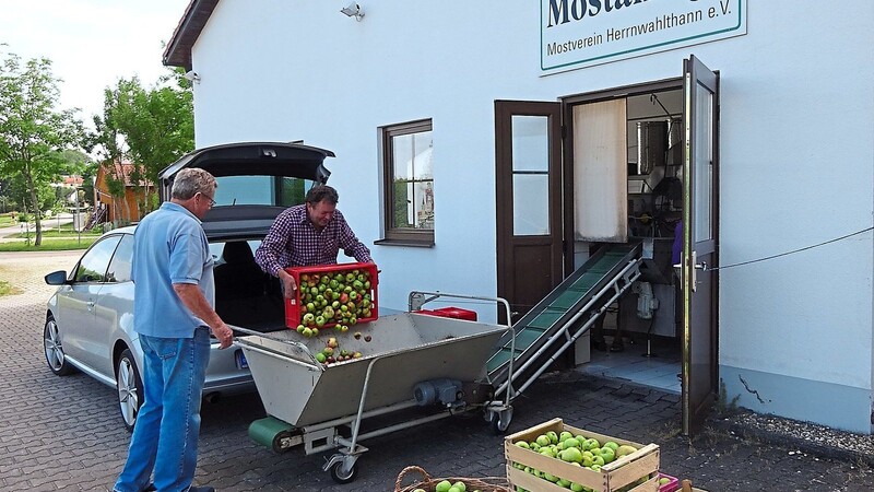 Für den ersten Probebetrieb der Mosterei in Herrnwahlthann füllte im letzten Jahr Christian Hirthammer die ersten Äpfel in den Auffangkasten. Vorsitzender des Mostvereins, Maximilian Schober, assistierte und schaltete daraufhin die Anlage ein, die dann ihre Bewährungsprobe bestand. Dieses Jahr geht es am Samstag, 8. August, wieder los.