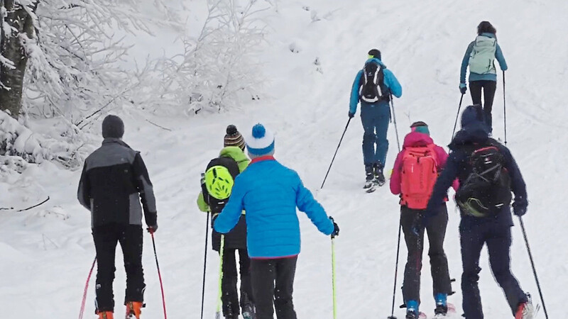 Für Tagesausflügler - so wie hier am vergangenen Wochenende - wird der Geiersberg im Freyung-Grafenau wohl bald tabu sein.