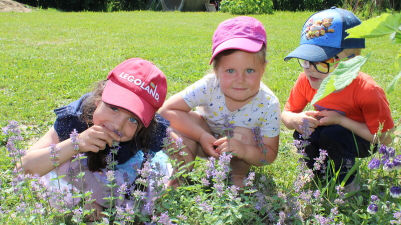 Profis am Werk - Kinder zeigen stolz ihre selbst angepflanzte Katzenminze.