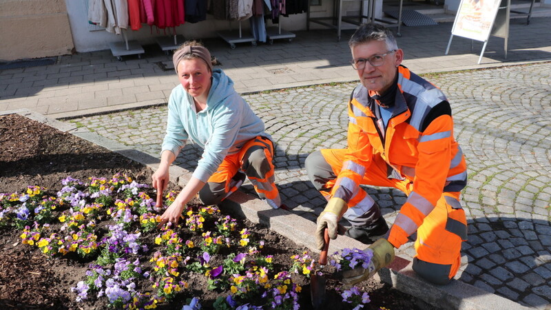 Farbenfrohe Hingucker pflanzt das Team des Bauhofs in Bogen