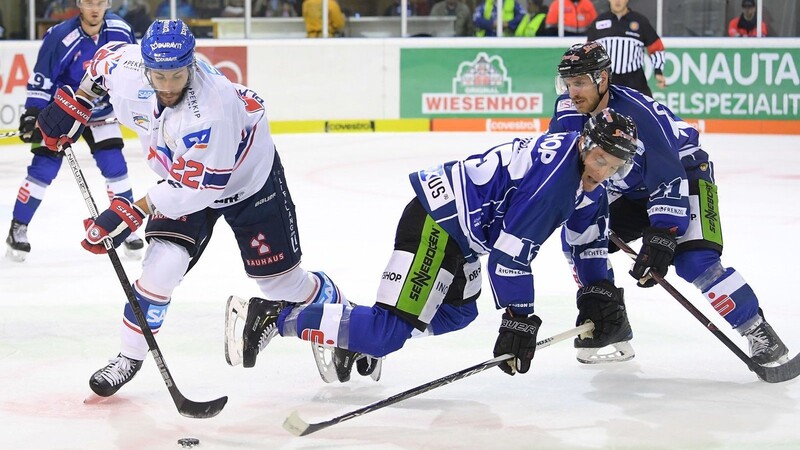 Die Adler Mannheim haben die Straubing Tigers (hier TJ Mulock) daheim zu Fall gebracht.