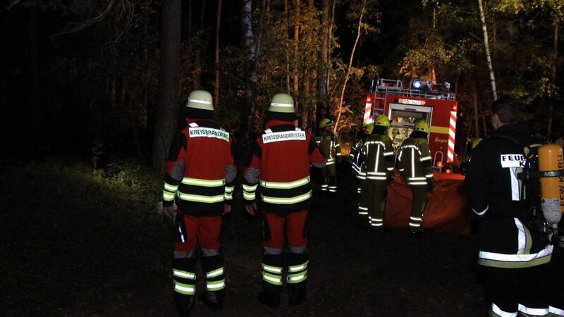 Waldbrand in der Nacht auf Montag, 15. Oktober, bei Bernhardswald im Landkreis Regensburg.