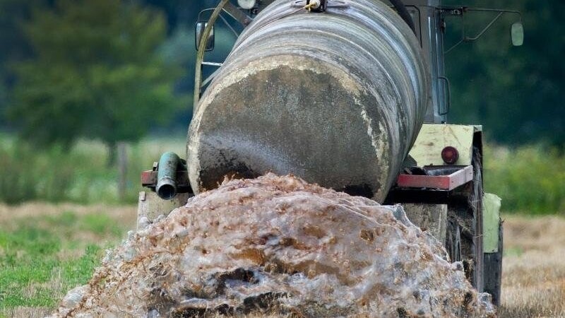 Gülle wird auf einem Feld verteilt. Damit gelangt Nitrat ins Grundwasser.