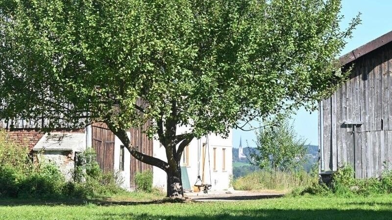 Hof am Ortsrand, auf dem nach Angaben der Behörden eine nicht genehmigte Schule untergebracht worden war.