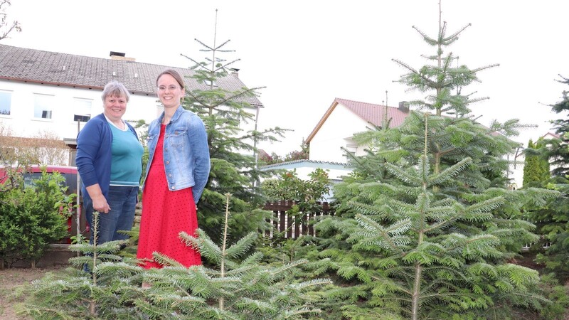 Gartenbauvereinsvorsitzende Anna Maria Krinner (r.) mit ihrer Mutter Anna Krinner in der heimischen Christbaumplantage.