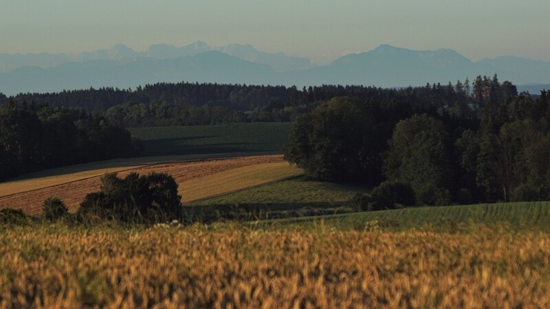 Wer von Haunzenbergersöll nach Rafolding unterwegs ist, kommt kurz hinter Gansenöd zum gleichnamigen Aussichtspunkt. Von dort aus ist bei gutem Wetter ein Teil der Alpen zu sehen. Auf einer Panoramatafel neben einer großen Akazie sind 56 Gipfel eingetragen. Die neue Tafel hat Anfang des Jahres Rupert Eisner installieren lassen. Gesponsert wurde sie vom Heimat- und Gartenbauverein Haunzenbergersöll. Rafolding ist der südlichste Gemeindeteil Bodenkirchens. Bodenkirchen nennt sich, unter anderem wegen des Alpenpanoramas, "Gemeinde mit Weitblick".