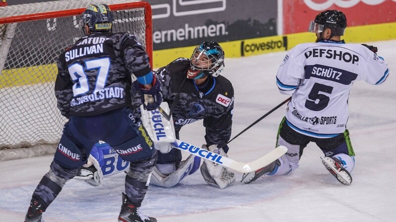 Die Straubing Tigers konnten das erste Spiel im neuen Jahr siegreich gestalten.