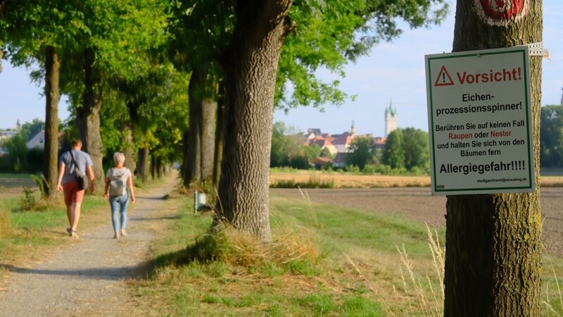 Warntafeln in der Stadt.