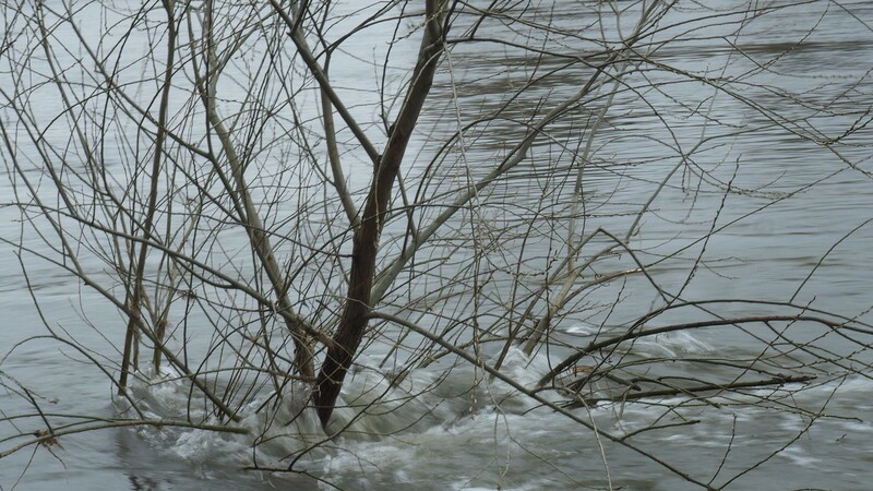 Meldestufe 2 und 3 könnte die kommenden Tage laut Prognosen an einigen Donau-Ufern erreicht werden. (Symbolbild)