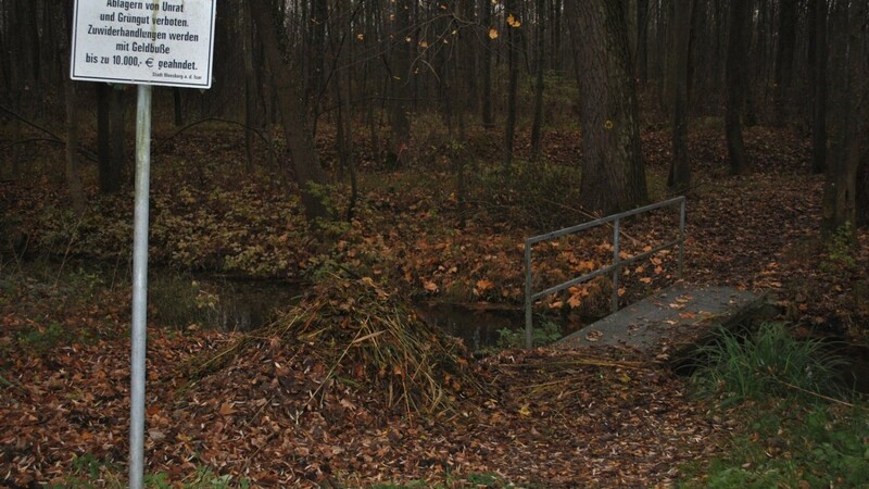 Wer lesen kann, ist klar im Vorteil: Trotz des Verbotsschildes landet immer wieder Unrat im Kulturgraben. Ein kleines Wehr sorgt dafür, dass er nicht bis zum Himmelblauen See treibt. Bauhofmitarbeiter haben jüngst wieder einiges aus dem kleinen Bach gezogen.