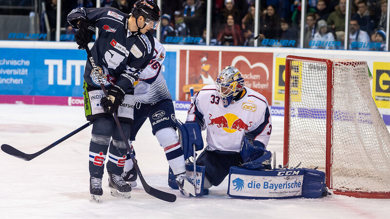 Die Straubing Tigers hatten am Sonntag den EHC Red Bull München zu Gast am Pulverturm.