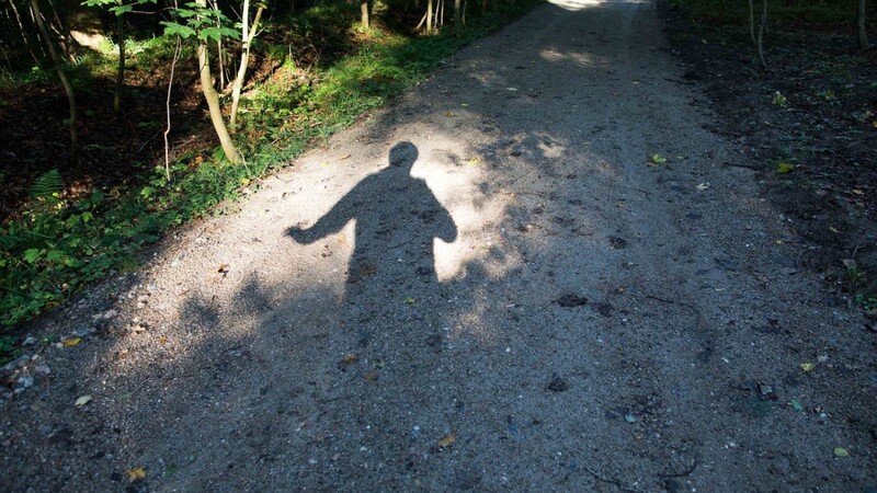 Ein bislang Unbekannter hat einen kleinen Hund bei einem Waldstück in der Nähe von Mengkofen ausgesetzt. (Symbolbild)