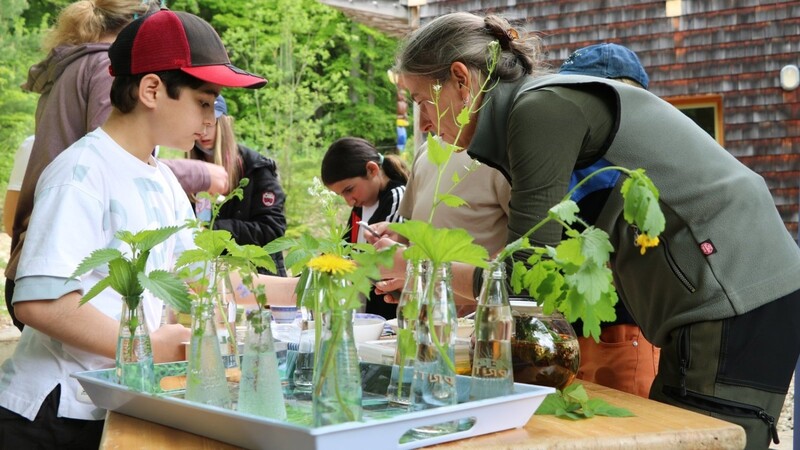 Unterricht mal anders: Im Walderlebniszentrum Sinzing lernen die Kinder der "Draußen-Klasse" etwa, wie man Brennnessel zu Gewürzen oder Aufstrichen verarbeiten kann.