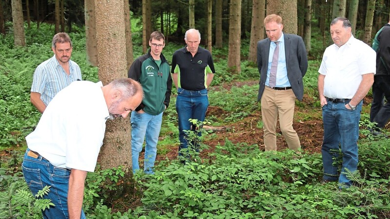 Eine Besichtigung von Waldstücken in unterschiedlichen Bewirtschaftungsstufen sollte die Wichtigkeit der Waldbauernarbeit für Klima und Umwelt zeigen.