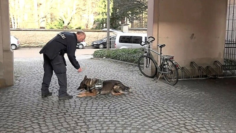 Auch am Samstag suchte die Polizei weiterhin nach dem entflohenen verurteilten Straftäter. Im Bereich des Amtsgerichts war die Polizei mit Spürhunden unterwegs, um mögliche Spuren zu finden.