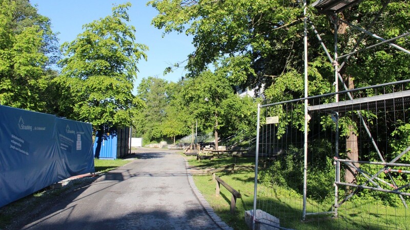 Wegen des Kabinentrakt-Anbaus am Eisstadion und einer verbreiterten Feuerwehrzufahrt müssen zahlreiche kleine und größere Bäume weichen. Nur das Grün im hinteren Bereich bleibt erhalten.