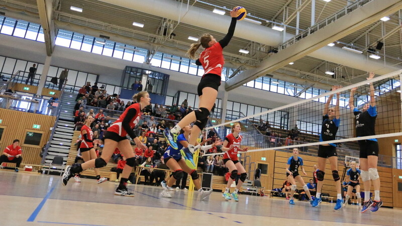 Ab September 2019 gibt es nach sechs Jahren Pause wieder Zweitliga-Volleyball in Dingolfing zu sehen.