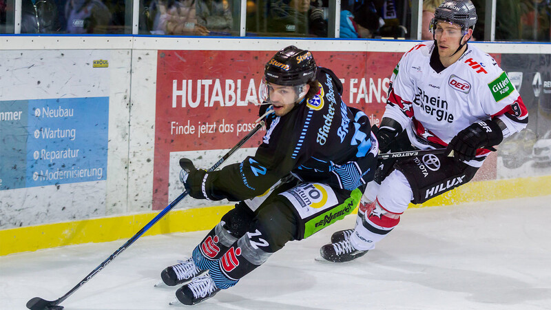 Die Straubing Tigers (im Bild vorne Thomas Brandl) haben ihr Heimspiel gegen die Kölner Haie gewonnen.