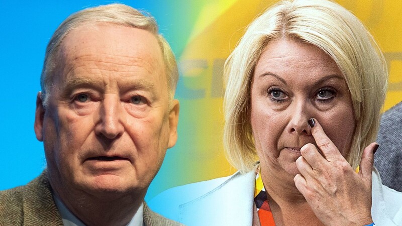 Der Bundestag hat am Donnerstag die Immunität der Abgeordneten Alexander Gauland (AfD, links) Karin Strenz (CDU).