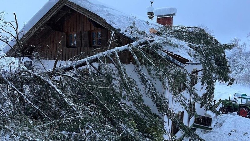 Ein Baum krachte auf das Haus. 