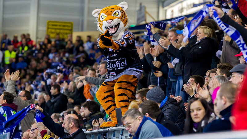 Auch wegen Maskottchen Tigo wurde eine Geldstrafe gegen die Straubing Tigers ausgesprochen.