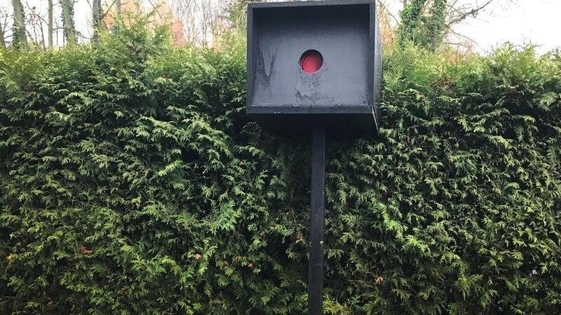 Mit 127 Stundenkilometern über dem Tempolimit wurde ein Autofahrer bei Viechtach geblitzt. (Symbolbild)