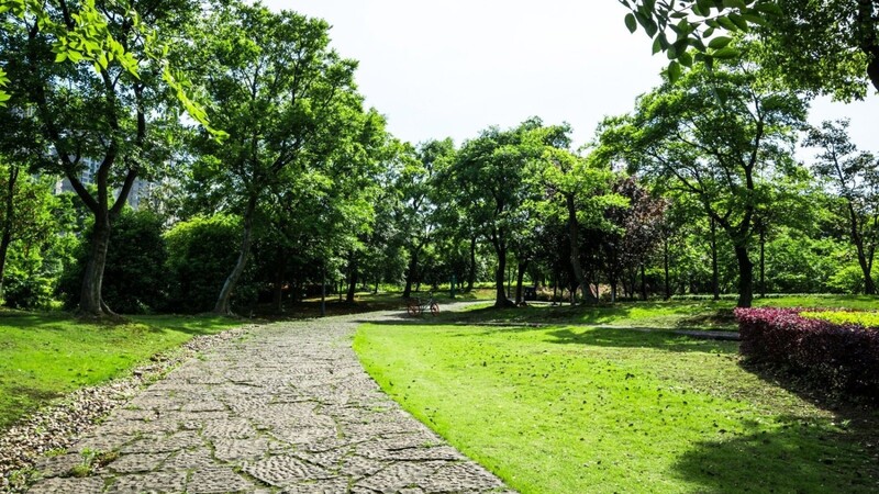 Bei einem Spaziergang im Park kann man seinen Gedanken freien Lauf lassen.