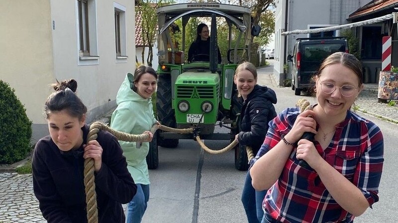 Die Freundinnen der Gewichtheber machen es vor: Bulldogziehen für das bayerische Gauditurnier ist gar nicht so schwer.