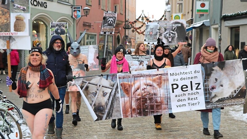 Nur in Slip oder Unterwäsche zogen die Pelzgegner am Sonntagnachmittag mit ihren Transparenten durch die Stadt.