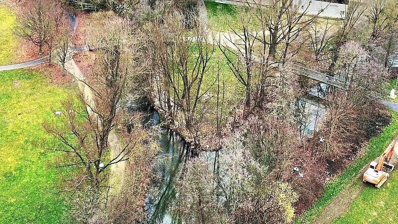 Hier stehen die meisten Fällungen an: Im Bereich Regner-Insel sowie Chamb-Ufer müssen für die Landesgartenschau 14 Bäume weichen.