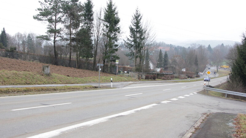 Am Hauser Mühlberg, unmittelbar hinter dem Neuen Friedhof, soll die Nordspange in die Kreisstraße CHA 49 münden. Dort ist der Bau eines Kreisverkehrs geplant. Gegen den Neubau der Staatsstraße und der Nordspange richtet sich die Kritik der Naturschutzverbände. Foto: Hirtreiter