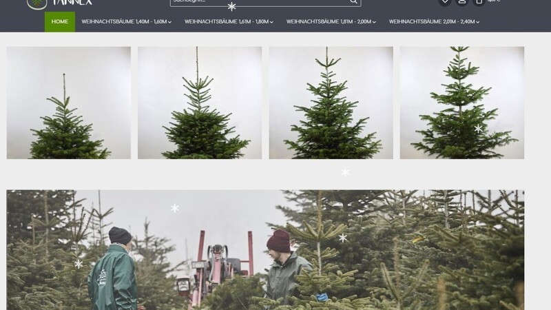 Man kann vieles online bestellen - sogar Christbäume. Pirmin und Michael machen's möglich.