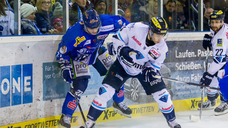 Zum ersten Heimspiel der neuen Saison erwarten die Straubing Tigers (hier links: Kapitän Sandro Schönberger) den ERC Ingolstadt.