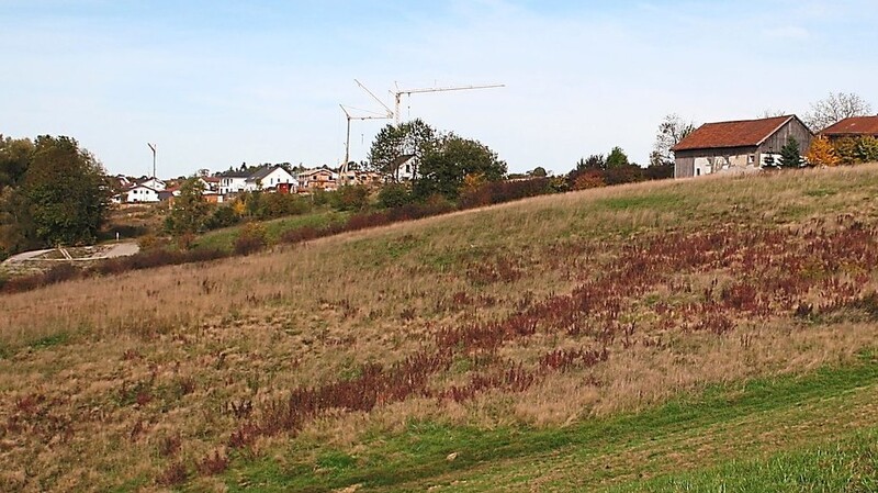 Am Hang rund um das Gehöft Roßberg 1 (rechts oben) soll ein neues Baugebiet entstehen. Der Bebauungsplan ist inzwischen beschlossen, darin wurden auch entgegen früherer Planungen einige Bereiche ausgespart. Die BI-Vertreter "Roßberg muss leben", setzen sich aber dafür ein, dass weitere Flächen von der Bebauung freigehalten werden. Sie wollen den ablehnenden Beschluss zum Bürgerbegehren vor dem Verwaltungsgericht aufgeben lassen.