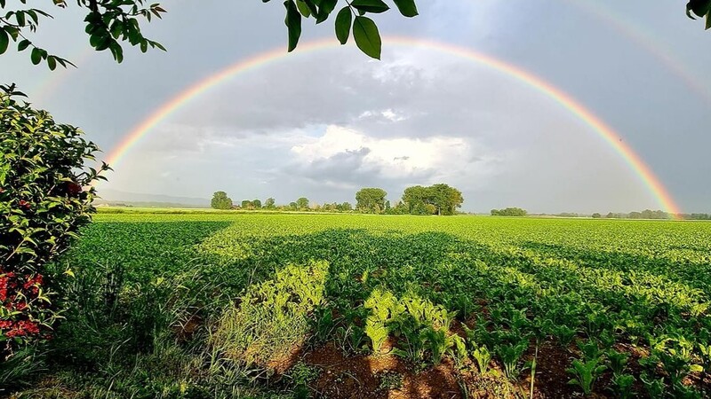 Nach einem frühabendlichen Gewitter hat Christine Primbs dieses Farbenspiel am Himmel fotografiert. "Heiligenschein über Waltendorf'" nennt sie es.