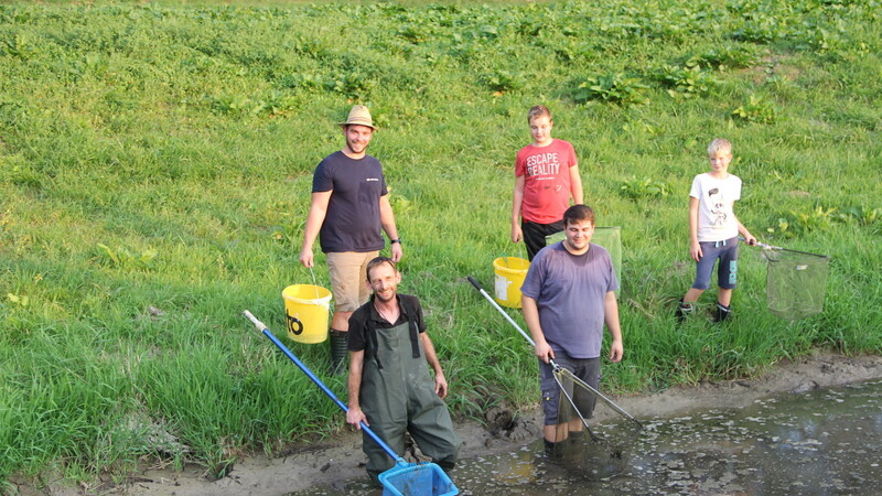 Rettungsaktion für Wassertiere im Herzogbachableiter.